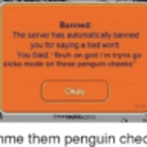 Meet your Posher, Logan